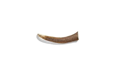 1ea Canophera X- Large Deer Antler - Health/First Aid